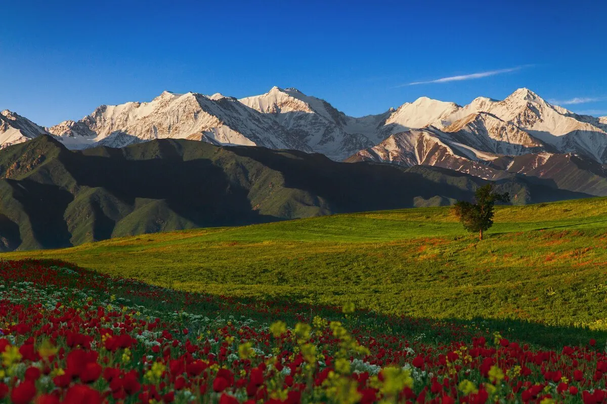 Родник в горах Тянь Шаня