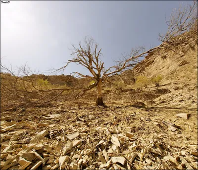 Незабываемые виды гор Туркменистана на фото