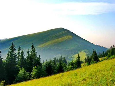 Фото гор Украины: выберите размер изображения и формат для скачивания (JPG, PNG, WebP) бесплатно