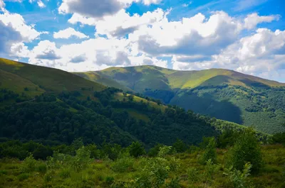 Природа Украины на фото: красивые пейзажи бесплатно