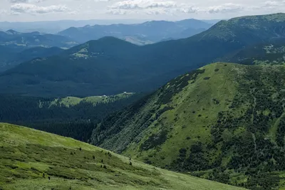 Величественная природа: прекрасные горы Украины на фото