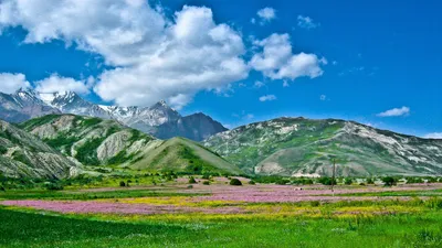 Фон с узбекскими горами для рабочего стола