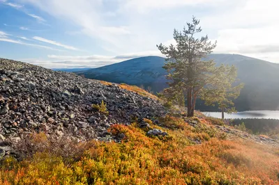 Картинка финских гор - бесплатно скачайте фото в хорошем качестве.