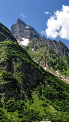 Фото горы в вертикальном формате