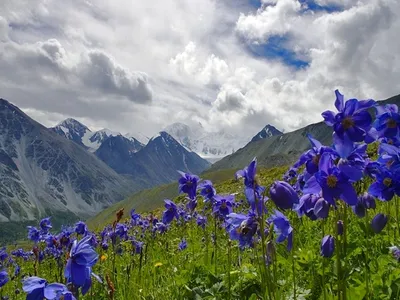 Фото Горы весной: ощутите волшебство весны на вашем экране