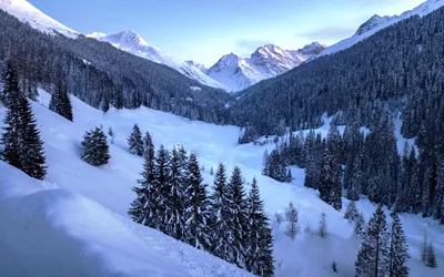 Изображение гор в зимний период