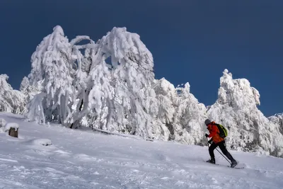 WEBP арт с горами зимой