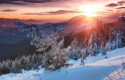 Горные пики в зимнем наряде: красота и сила природы в одном кадре