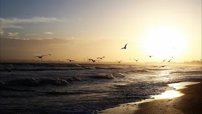 Фото Градский на пляже - лучшие снимки в Full HD