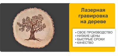 Рисунок гравировки на дереве: искусство, созданное природой