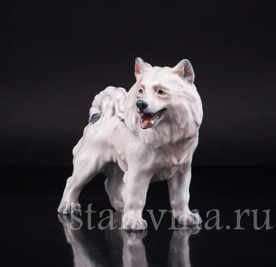 Фото гренландской собаки: выбирайте размер и формат