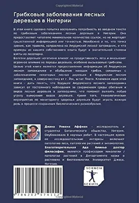 Фотографии грибковых заболеваний деревьев: скачать бесплатно в хорошем качестве