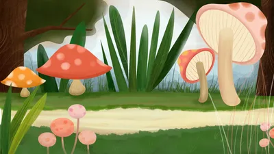 Картинка лесной грибной поляны