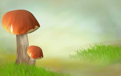 Рисунок грибной поляны в лесу
