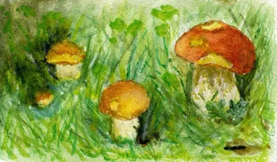 Рисунок: Энергия грибов на гармоничной поляне в лесу