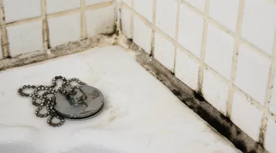 Новые фото грибка в ванной комнате в HD качестве