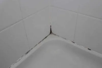 Фото грибка в ванной комнате: выберите формат для скачивания