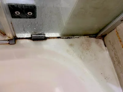 Фото грибка в ванной комнате: скачать бесплатно в формате PNG