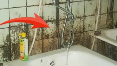 Фото грибка в ванной комнате: скачать бесплатно в формате WebP