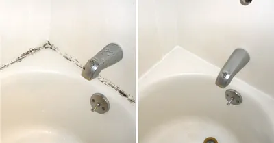 Фото грибка в ванной комнате: выберите формат скачивания
