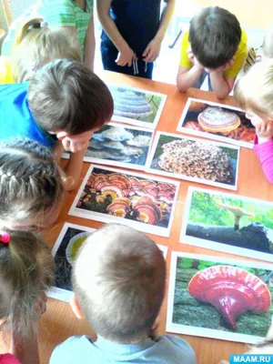 Фото грибов-паразитов человека: уникальные изображения для скачивания