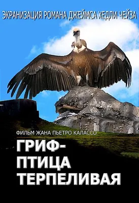 Картинка грифа: загрузите изображение в высоком разрешении