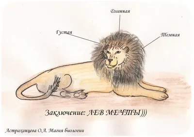 Превосходное изображение гривы льва