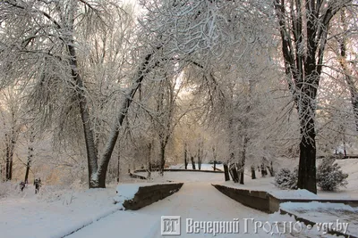 Зимняя атмосфера Гродно: Выберите формат и скачайте фотографию