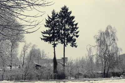 Зимние фотоизображения Гродно: Размеры на выбор для загрузки