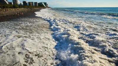 Приключение на морском берегу Грузии: Завораживающие фото