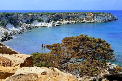 Фото Губернаторского пляжа на Кипре в формате JPG в высоком качестве