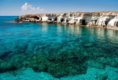 Фото Губернаторского пляжа на Кипре для скачивания