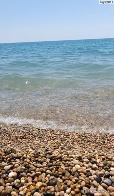 Изображения пляжа Гудаута с кристально чистой водой
