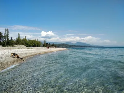 Изображения пляжа Гудаута в Full HD