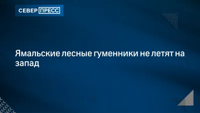 Изображения гуменника во время полета над океаном