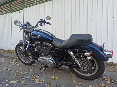 Изображение harley-davidson sportster 1200: выберите формат файла