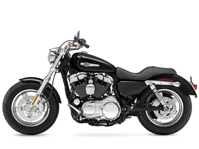 Картинка harley-davidson sportster 1200 в формате jpg для загрузки