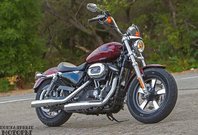 Изображение harley-davidson sportster 1200 в jpg: выберите размер и формат