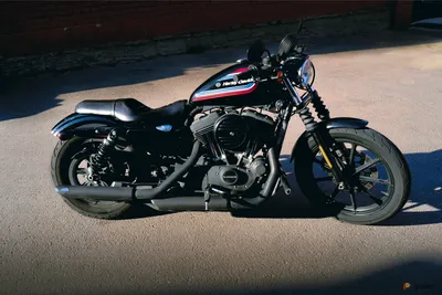 Картинка harley-davidson sportster 1200 в формате webp для загрузки