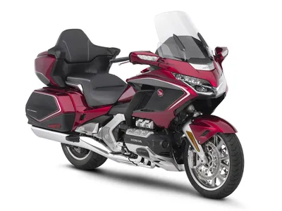 Изображение мотоцикла Honda Goldwing GL-1800 - прекрасный экземпляр