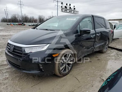 Качественные фотографии Honda Odyssey 2023 в формате PNG