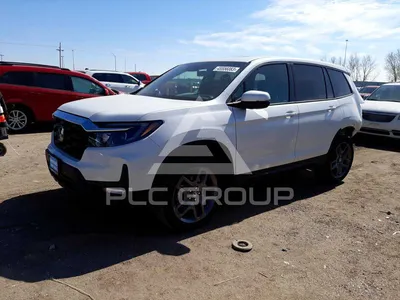 Новые фото Honda Passport 2023