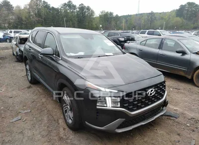 Фото Hyundai Santa Fe 2023 с багажником