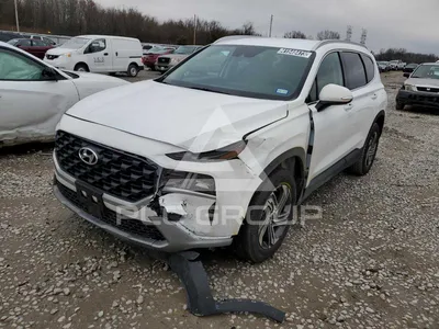 Hyundai Santa Fe 2023: Фото на природе