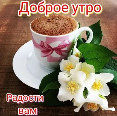 Утренние изображения для загрузки: выберите формат JPG, PNG, WebP