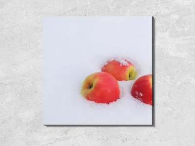Ледяные кристаллы и сочные плоды: встречаем зиму вместе с яблоками