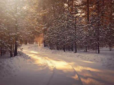 Зимние Впечатления: Фото Ядерной Зимы в Лучшем Качестве