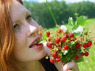 Фотография ягод в лесу скачать бесплатно