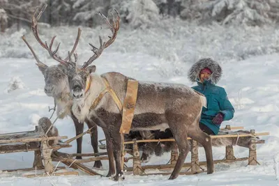 Зимний плен: Якутия в фотографиях для скачивания