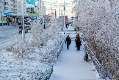 Якутская зима: Фотоискусство заснеженного города